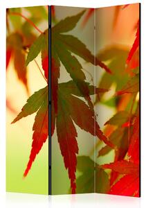Rumsavdelare - Colourful leaves 135x172 - Artgeist sp. z o. o