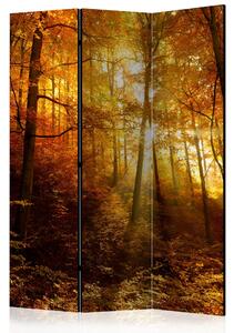 Rumsavdelare - Autumn Illumination 135x172 - Artgeist sp. z o. o