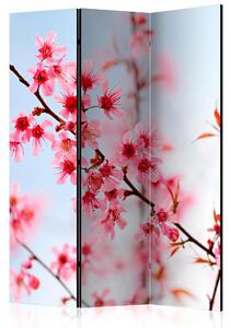 SYMBOL OF JAPAN SAKURA FLOWERS Rumsavdelare 135x172 cm - Artgeist sp. z o. o