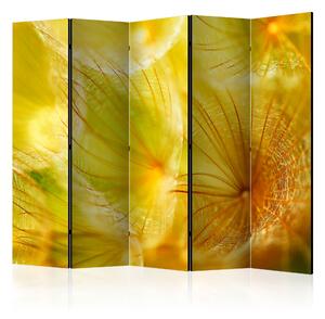 Rumsavdelare - Soft dandelion flower II 225x172 - Artgeist sp. z o. o