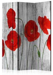 TALE OF RED POPPIES Rumsavdelare 135x172 cm - Artgeist sp. z o. o