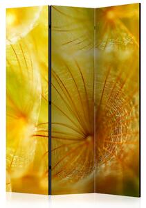 SOFT DANDELION FLOWER Rumsavdelare 135x172 cm - Artgeist sp. z o. o