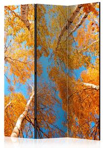 Rumsavdelare - Autumnal treetops 135x172 - Artgeist sp. z o. o