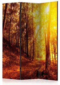 Rumsavdelare - Autumn Walk 135x172 - Artgeist sp. z o. o