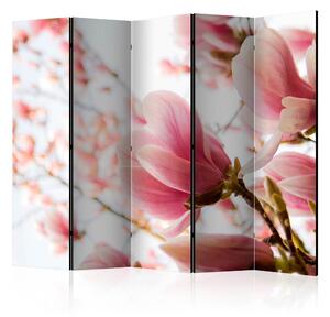 Rumsavdelare - Pink magnolia II 225x172 - Artgeist sp. z o. o