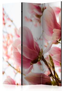 Rumsavdelare - Pink magnolia 135x172 - Artgeist sp. z o. o