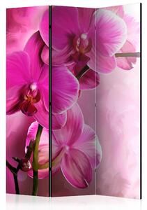 Rumsavdelare - Pink Orchid 135x172 - Artgeist sp. z o. o