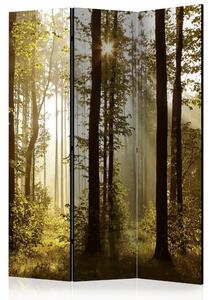FOREST MORNING SUNLIGHT Rumsavdelare 135x172 cm - Artgeist sp. z o. o