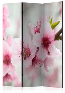 Rumsavdelare - Spring, blooming tree flowers 135x172 - Artgeist sp. z o. o