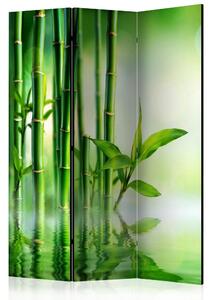 Rumsavdelare - Bamboo Grove 135x172 - Artgeist sp. z o. o
