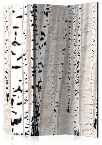 Rumsavdelare - Birchen Grove 135x172 - Artgeist sp. z o. o