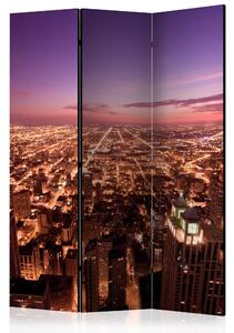 RUMSAVDELARE Chicago Panorama 135x172 cm - Artgeist sp. z o. o
