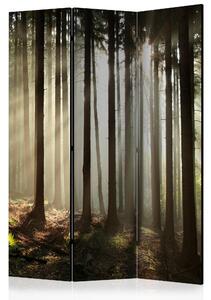 Rumsavdelare Coniferous Forest 135x172 cm - Artgeist sp. z o. o