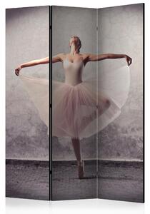 RUMSAVDELARE Classical Dance - Poetry 135x172 cm - Artgeist sp. z o. o
