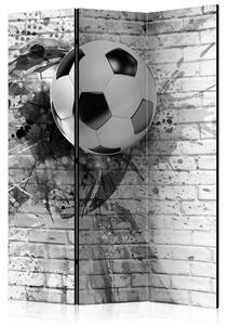 Rumsavdelare Dynamic Football 135x172 cm - Artgeist sp. z o. o