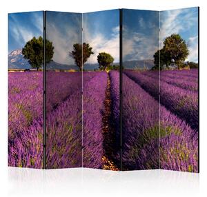 Rumsavdelare Lavender Field in Provence 225x172 cm - Artgeist sp. z o. o