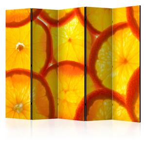 Rumsavdelare Orange Slices II 225x172 cm - Artgeist sp. z o. o