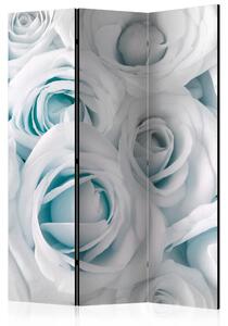Rumsavdelare Satin Rose Turquoise 135x172 cm - Artgeist sp. z o. o