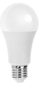 LED glödlampa A60 E27/21W/230V 6500K - Aigostar