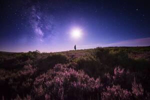 Fotografi Touching the Moon and the Milky Way, Carlos Fernandez