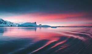 Fotografi Stunning sunset on the Antarctic peninsula, David Merron Photography