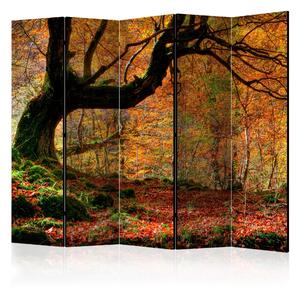 Rumsavdelare - Autumn, forest and leaves II 225x172 - Artgeist sp. z o. o