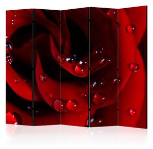 Rumsavdelare - Red rose with water drops II 225x172 - Artgeist sp. z o. o