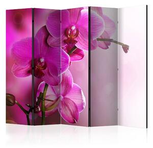 Rumsavdelare - Pink orchid II 225x172 - Artgeist sp. z o. o