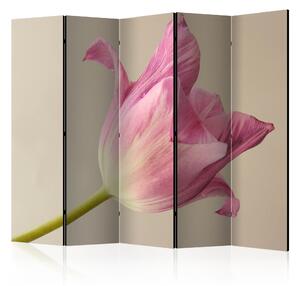 Rumsavdelare - Pink tulip II 225x172 - Artgeist sp. z o. o