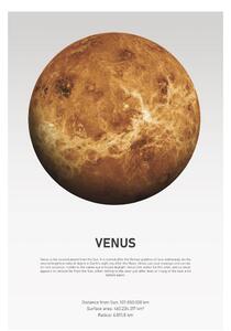 Poster Venus Light