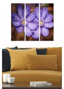 Tavla Floral 3-Pack Flerfärgad 20X50 Cm - 20x50 cm