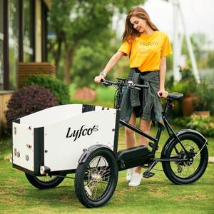 Lådcykel El | Öppningsbar låda | 17,5Ah Samsungbatteri | 8 växlar