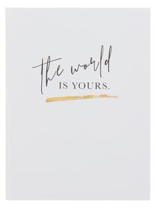 THE WORLD IS YOURS poster 30x40 cm