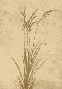 Poster Plant art 21x30 cm - Beige