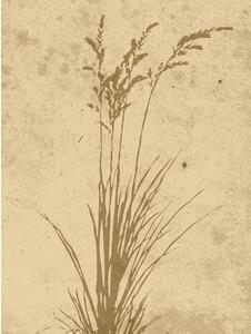 Poster Plant art 30x40 cm - Beige