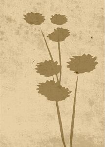 Poster Flower art 50x70 cm - Beige