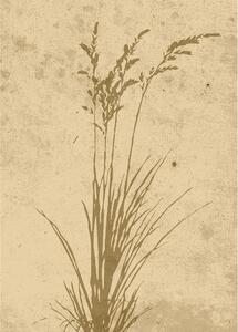 Poster Plant art 50x70 cm - Beige