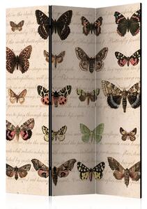 Rumsavdelare Retro Style Butterflies 135x172 - Artgeist sp. z o. o