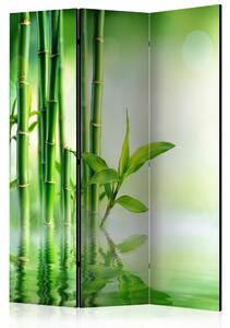 Rumsavdelare Green Bamboo 135x172 - Artgeist sp. z o. o