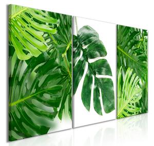 Tavla Palm Leaves 3 Parts 120x60 - Artgeist sp. z o. o