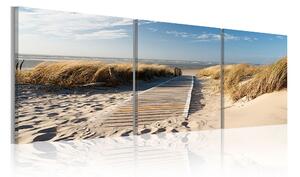 Tavla Beach Triptych 120x40 - Artgeist sp. z o. o