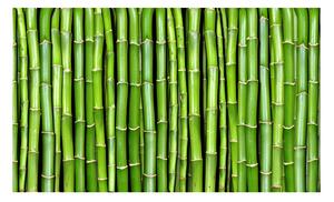 Fototapet Bamboo Wall 450x270 - Artgeist sp. z o. o