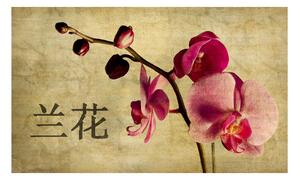 Fototapet Japanese Orchid 450x270 - Artgeist sp. z o. o