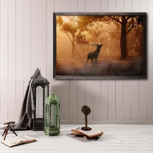 Deer At Dawn Foto Orange/Brun - 70x50 cm
