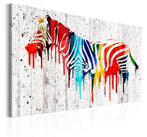 Tavla Colourful Zebra 120x80 - Artgeist sp. z o. o
