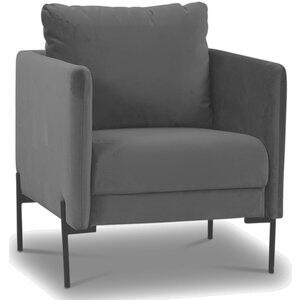 Kingsley fåtölj grå sammet + Fläckborttagare för möbler