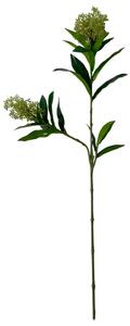 Okholm Studio - Stilke - Konstgjorda blommor - Skimmia - Green - 75 cm