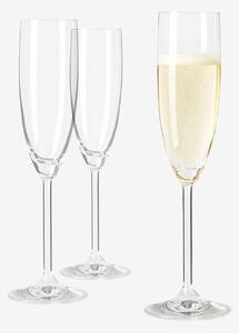 Leonardo - Champagneglas DAILY 6-pack - Transparent - Vinglas - Från Homeroom