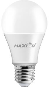 LED glödlampa A60 E27/8,5W/230V 3000K