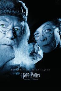 Konsttryck Harry Potter and the Prisoner of Azkaban - Dumbledore